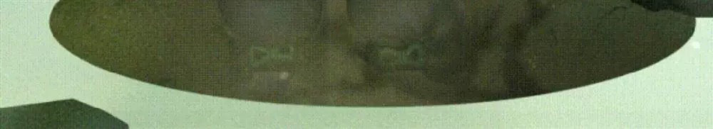 927851c6-178d-4356-879c-fa92924c656b
