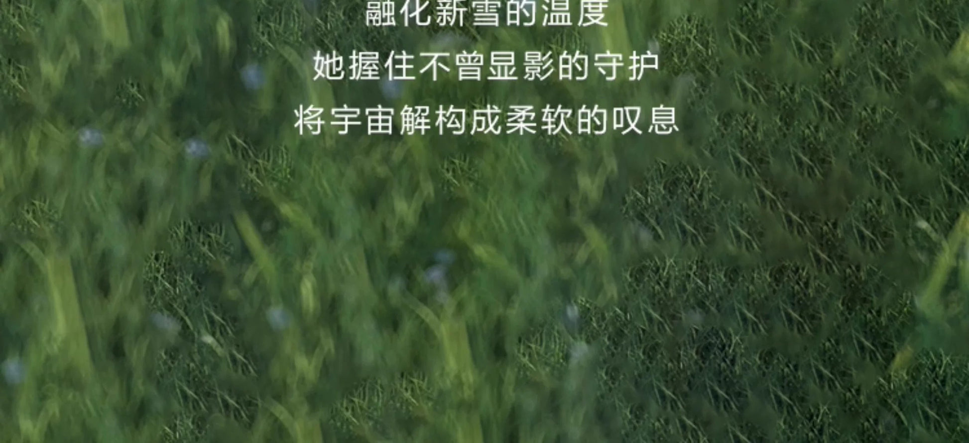 80ac35e1-5b21-4869-ac00-df5ff4634eb1