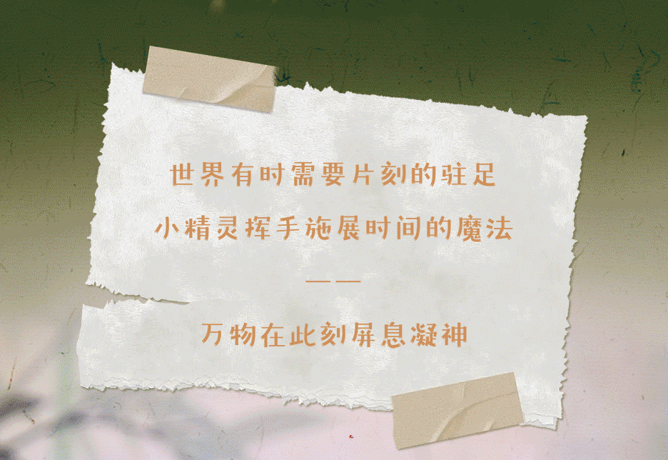 52320704-ef94-4819-a709-2fa6e12e72ca
