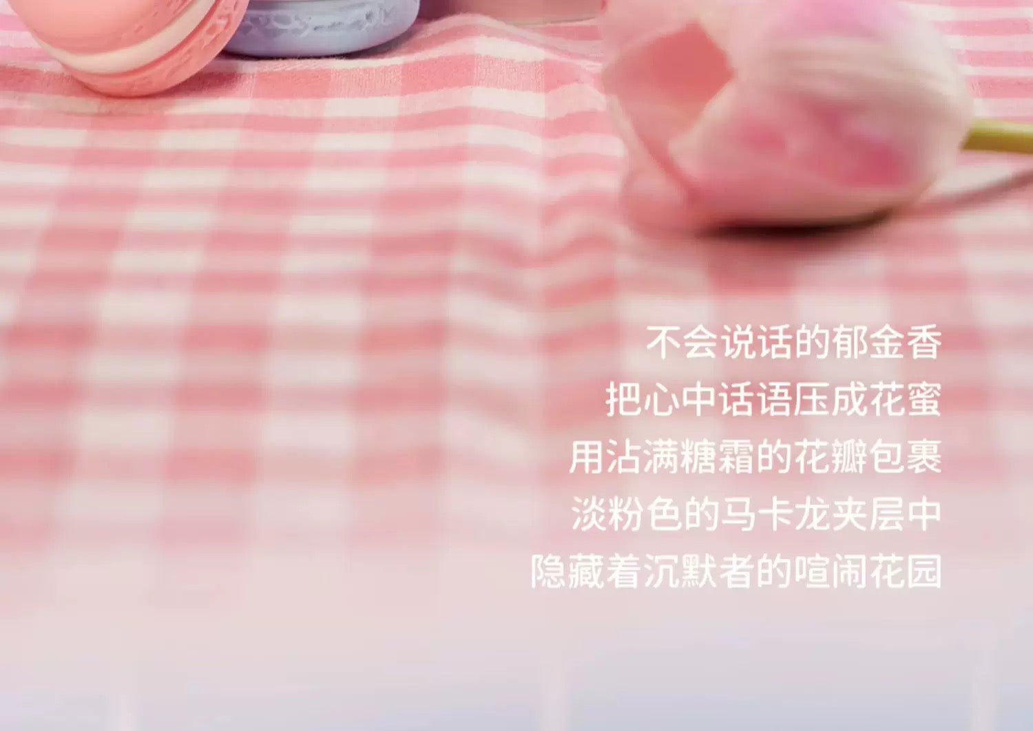 bd06e508-834e-4b5c-99aa-2f820d44eeb3