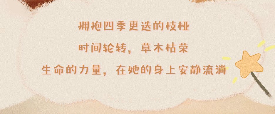 f027e973-2c8c-48ed-ba37-33e0bfda4147